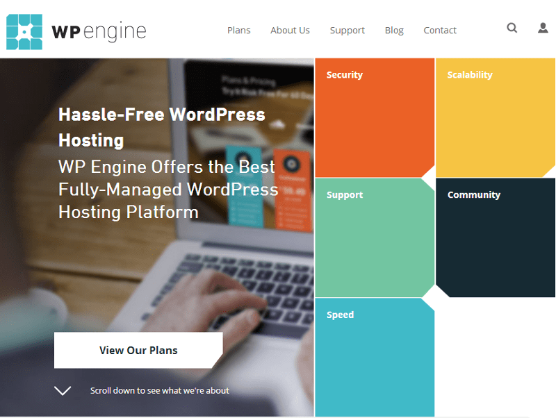 WordPress Hosting & Managed WordPress Hosting